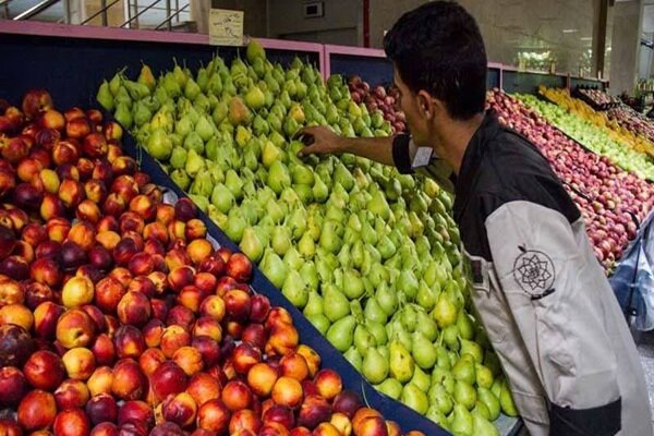 توسعه کمی و کیفی بازارها و میادین میوه و تره‌بار – خبرگزاری مهر | اخبار ایران و جهان